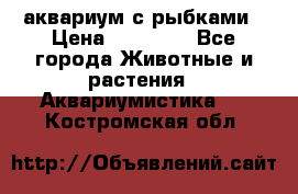 аквариум с рыбками › Цена ­ 15 000 - Все города Животные и растения » Аквариумистика   . Костромская обл.